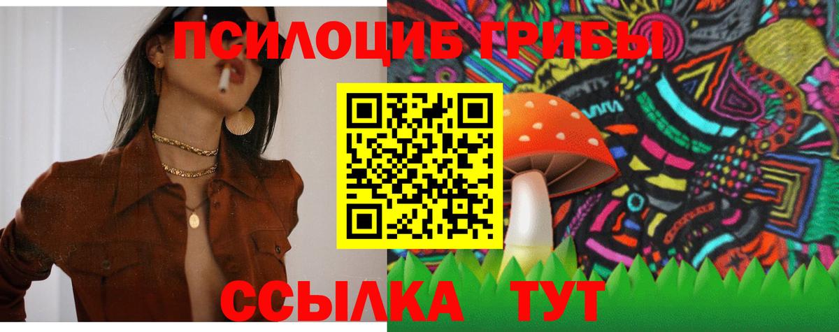 Псилоцибиновые грибы Cubensis  Вход с VPN  Батайск 